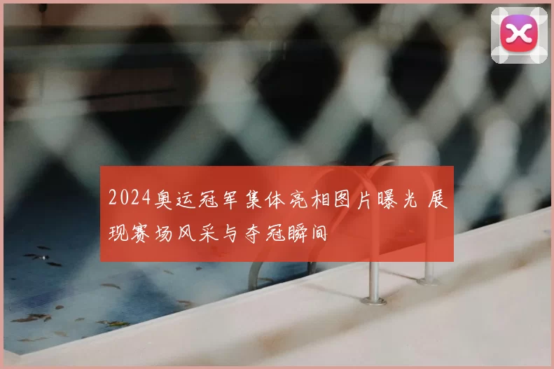2024奥运冠军集体亮相图片曝光 展现赛场风采与夺冠瞬间